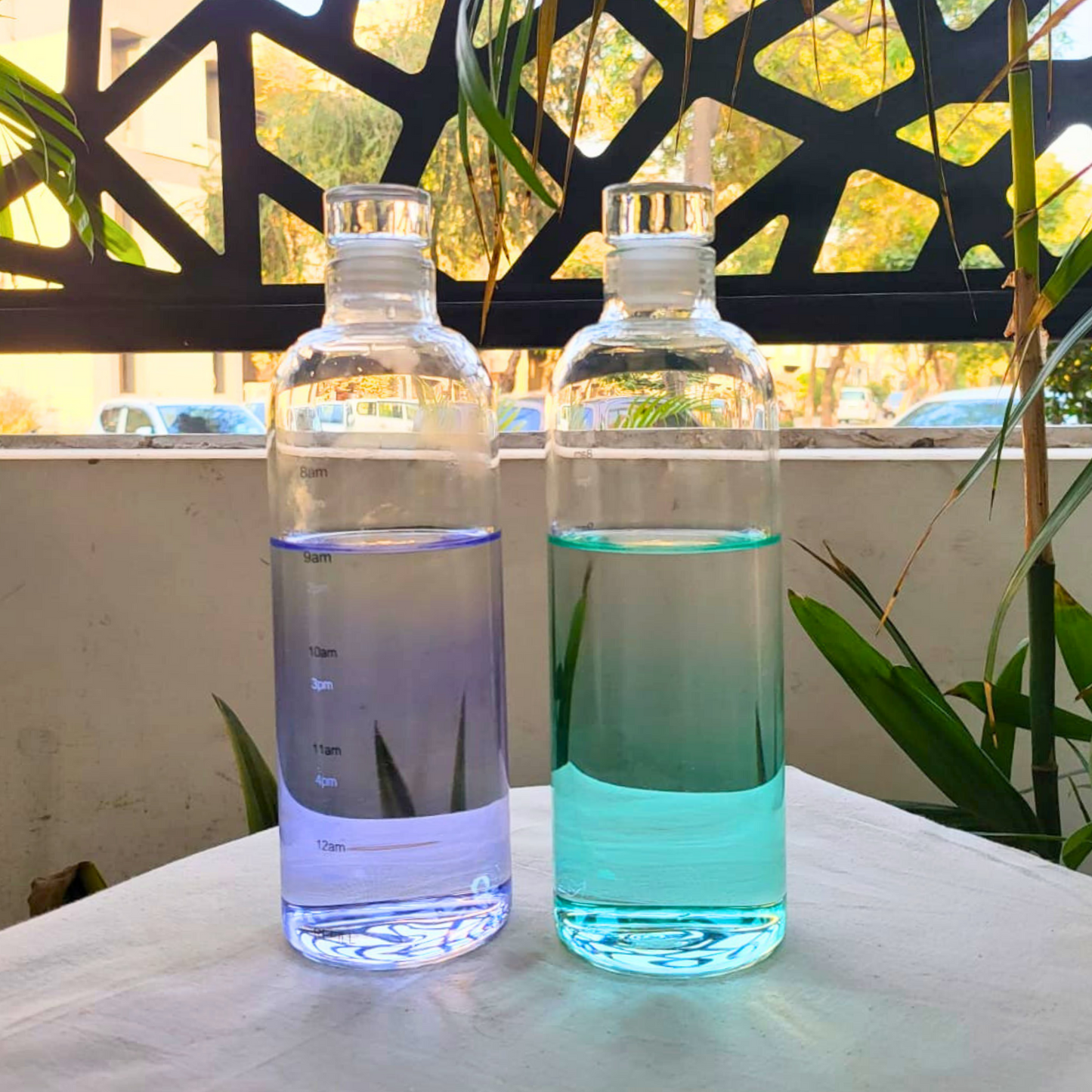 Glass Water Bottles with Gradient